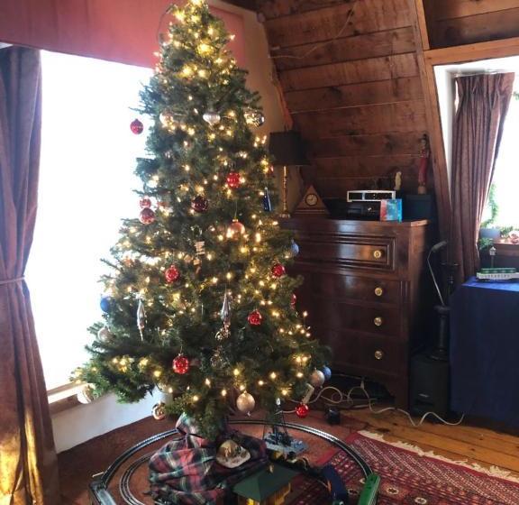 ユースホステル The Cascades