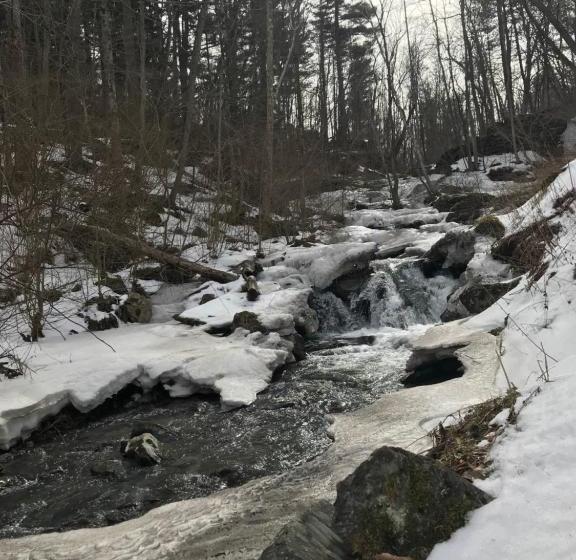 ユースホステル The Cascades