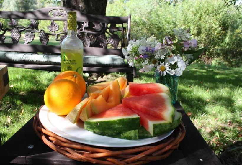 ユースホステル The Cascades