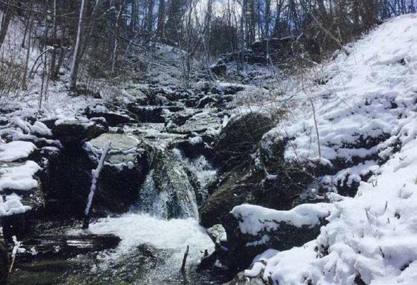 ユースホステル The Cascades