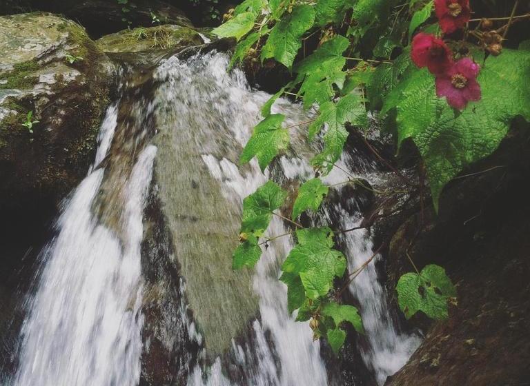 ユースホステル The Cascades