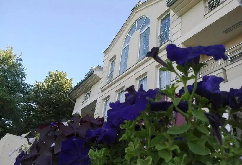 B&b Vila Vidikovac
