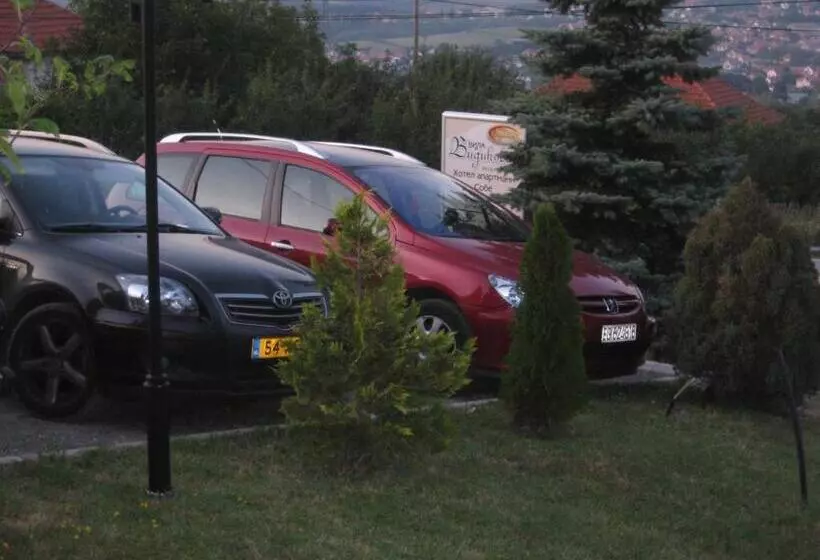 B&b Vila Vidikovac