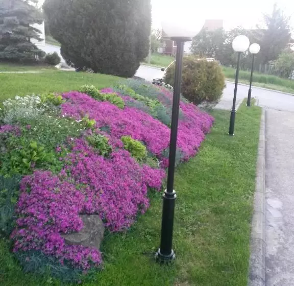 B&b Vila Vidikovac