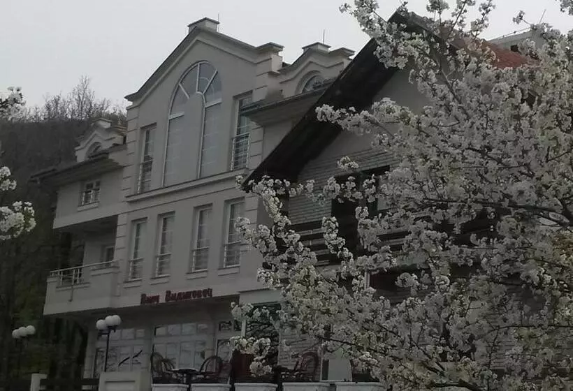 B&b Vila Vidikovac