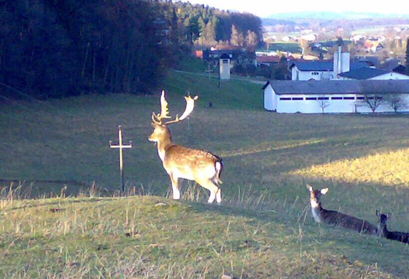Gasthof Pension Steinberger