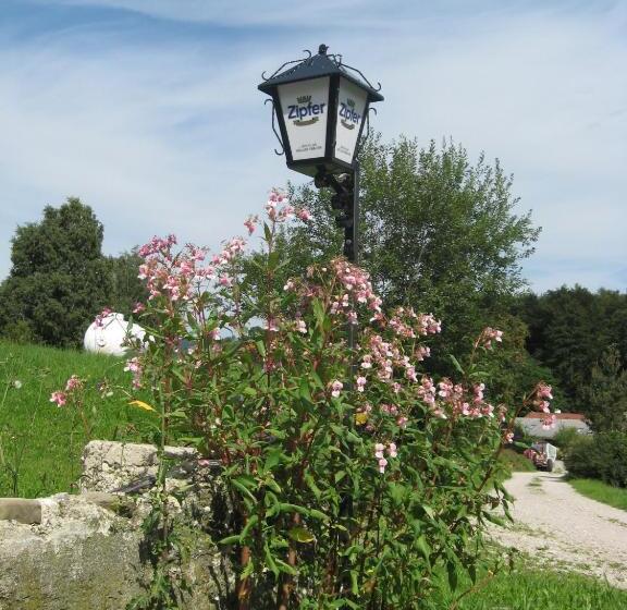 Gasthof Pension Steinberger