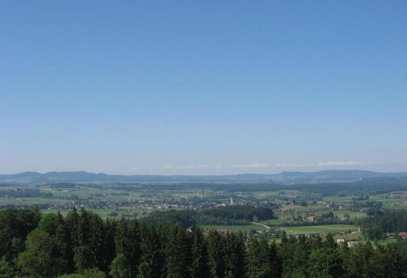 Gasthof Pension Steinberger