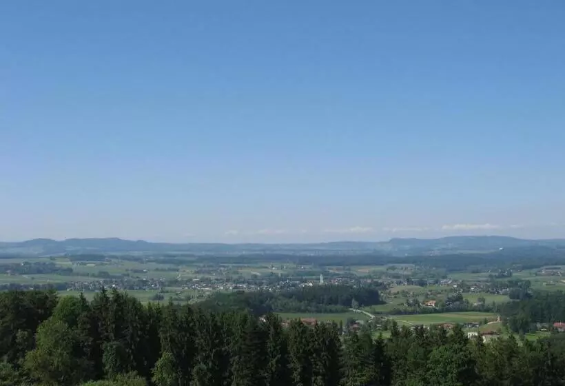 Gasthof Pension Steinberger