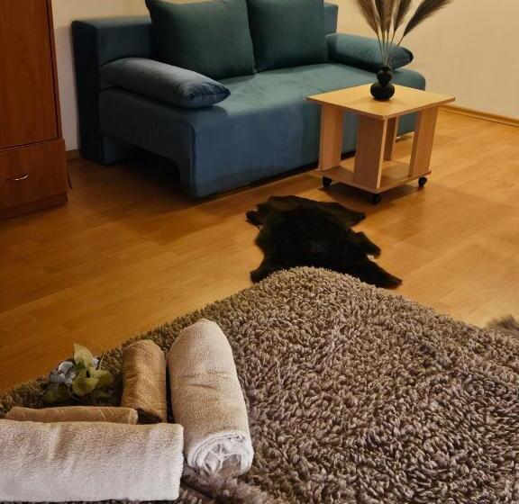 Pensjonat Guest House Karov 2 Stars