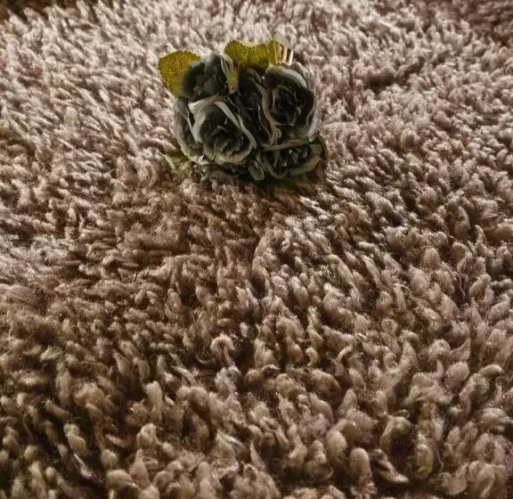 Majatalo Guest House Karov   2 Stars