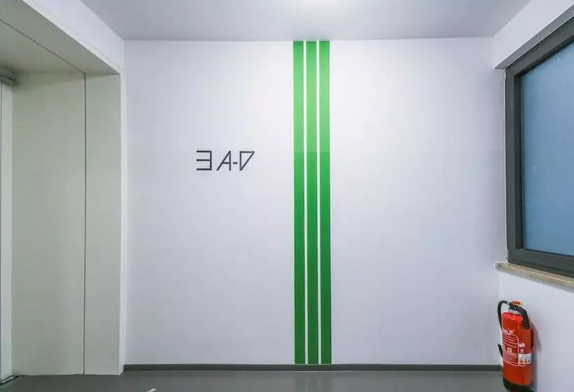 Designer Dorm Room For 4   Hostel