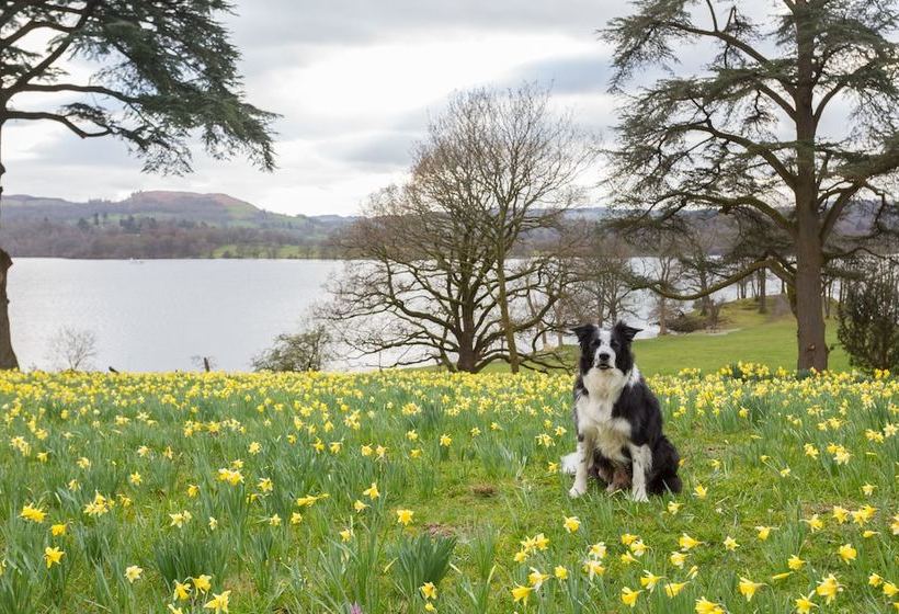 Hotel The Lake Lodge