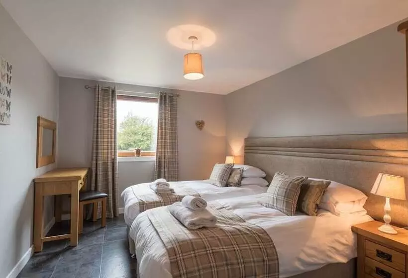 Lord Galloway 34, Newton Stewart