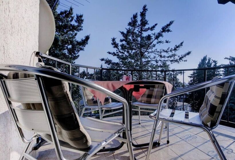 پانسیون Apartments Dragica 1251