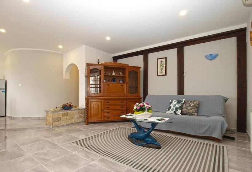 پانسیون Apartments Dragica 1251