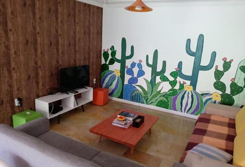 Insta Hostel Floripa