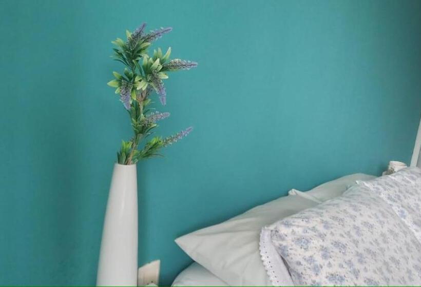 Insta Hostel Floripa