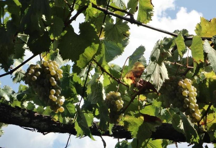 پانسیون Casas Do Eido E Casa Da Viúva