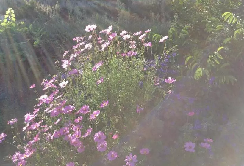 ペンション Casas Do Eido E Casa Da Viúva