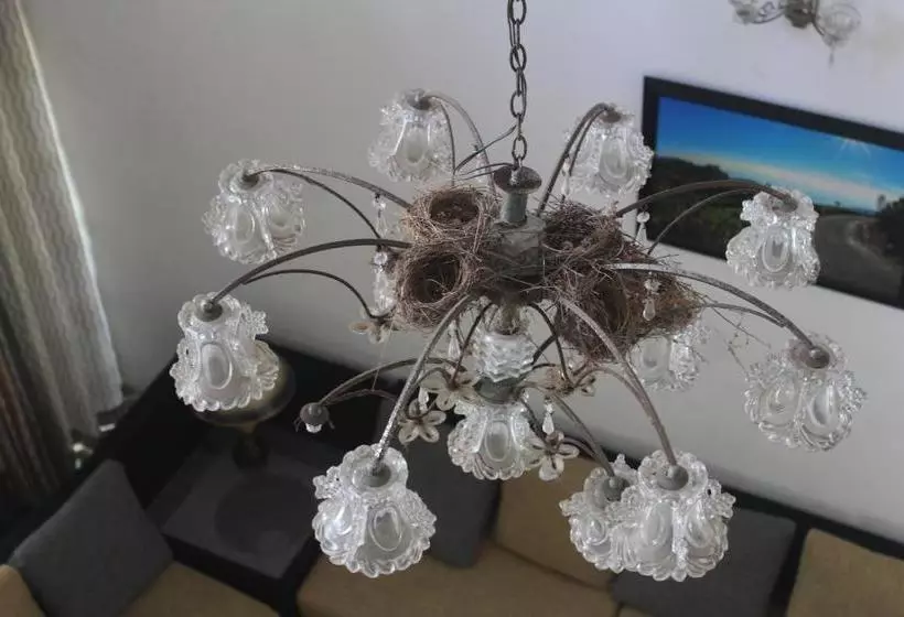 Aamiaismajoitus (B&B) Bird S Nest By Natures Bliss