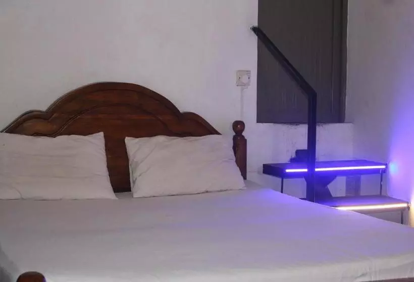 Aamiaismajoitus (B&B) Bird S Nest By Natures Bliss