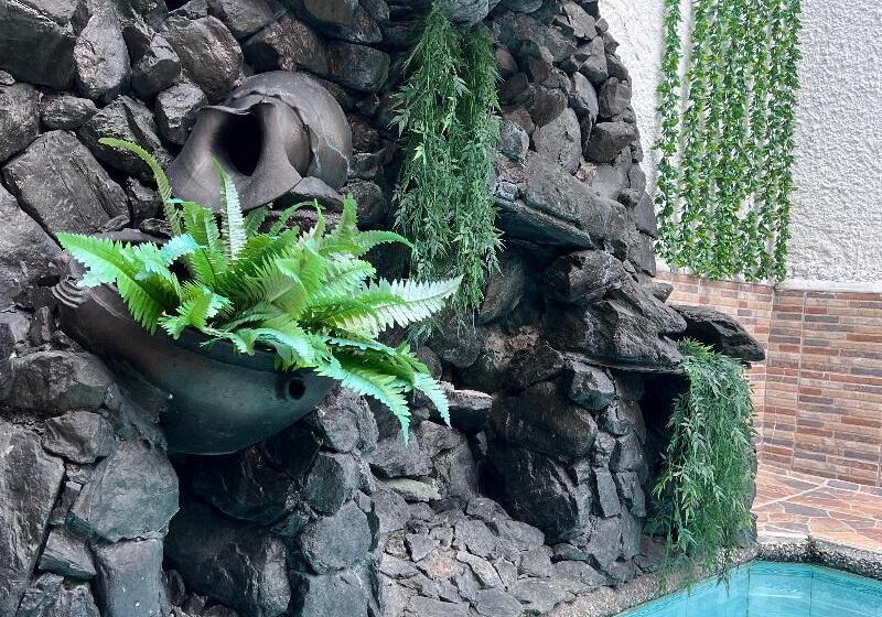 هتل Colores Boutique