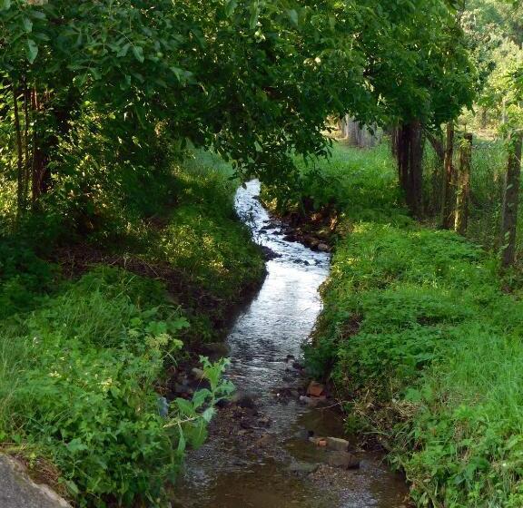 Пансион Boutique Vendégház Vidéki Idill Noszvaj