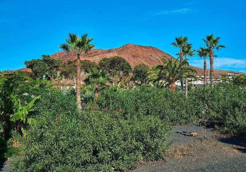 Hipotels Natura Palace - Adults Only