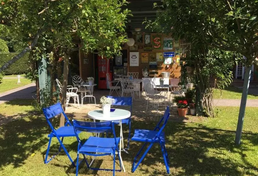 호텔 Apartamentos Del Norte