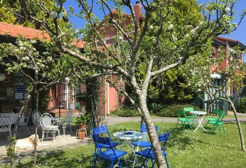 호텔 Apartamentos Del Norte