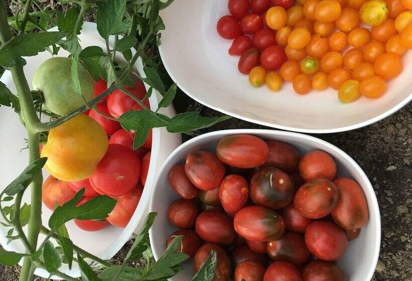 Hotell Ibis Strasbourg Sud La Vigie