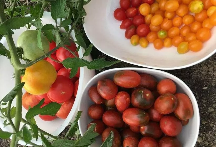 ホテル Ibis Strasbourg Sud La Vigie