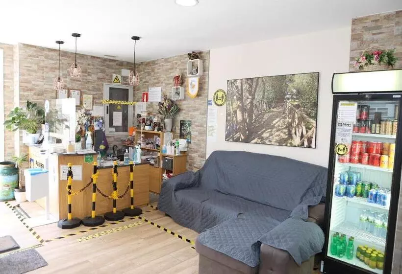 Albergue Camiño Real