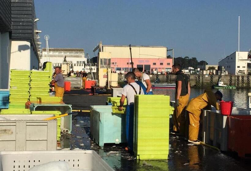 Appartement Design Iv   Port Du Rosmeur   Douarnenez