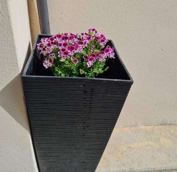 膳宿费 Gile Guest House