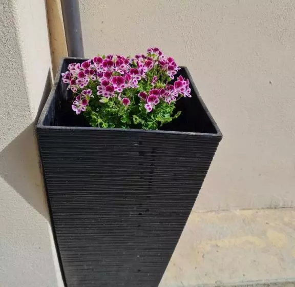 ペンション Gile Guest House