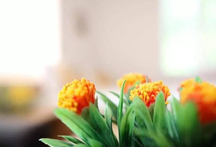 ペンション Gile Guest House