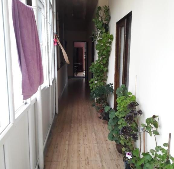 پانسیون Guest House Nino