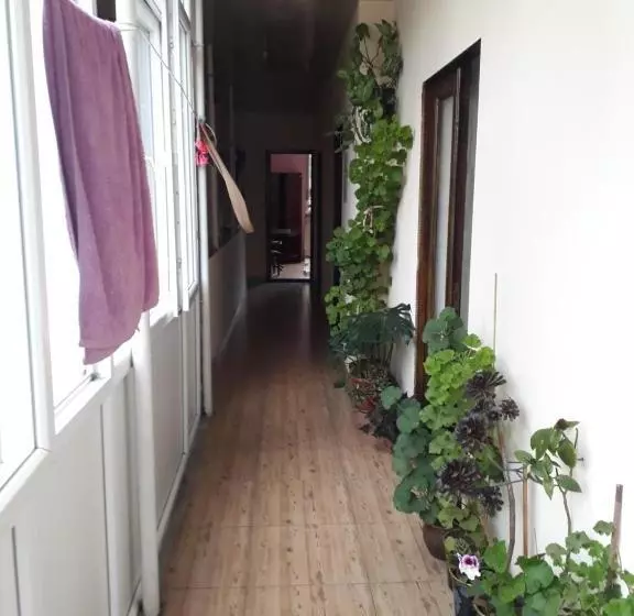 پانسیون Guest House Nino