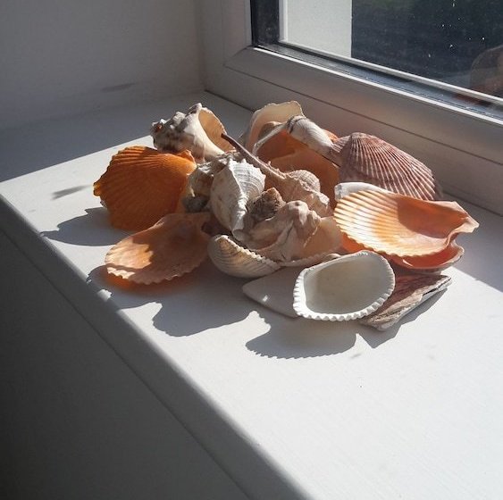 No. 4 Beach Cottages