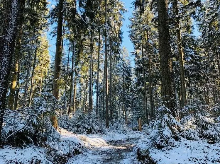 Pension Weiberwirtschaft In Pobershau