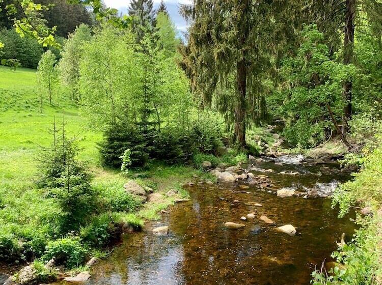 Pension Weiberwirtschaft In Pobershau