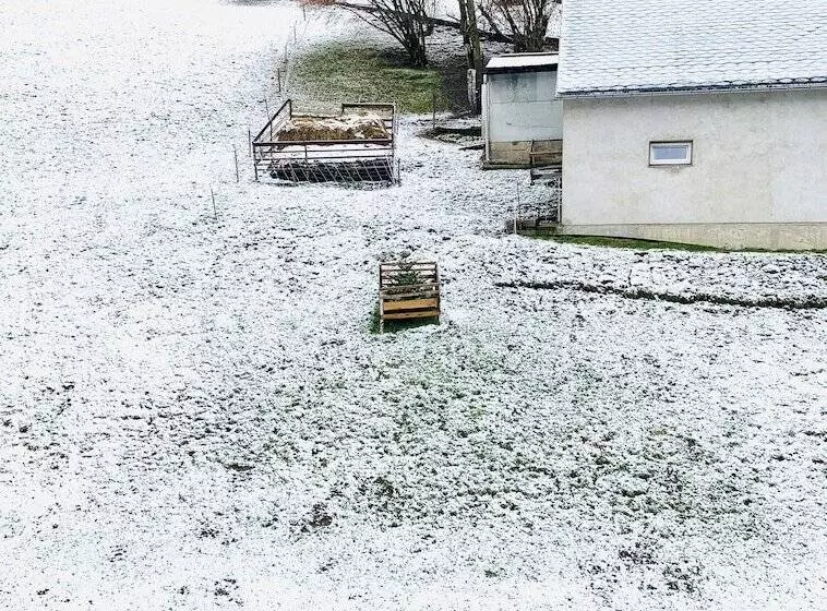 Pension Weiberwirtschaft In Pobershau