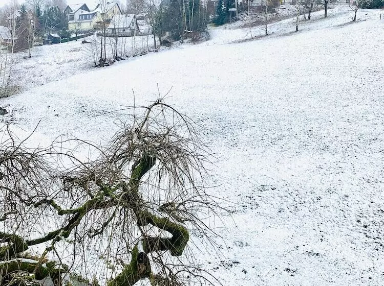 Pension Weiberwirtschaft In Pobershau