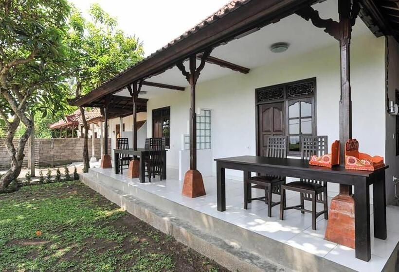 Szálló L Orange Budget