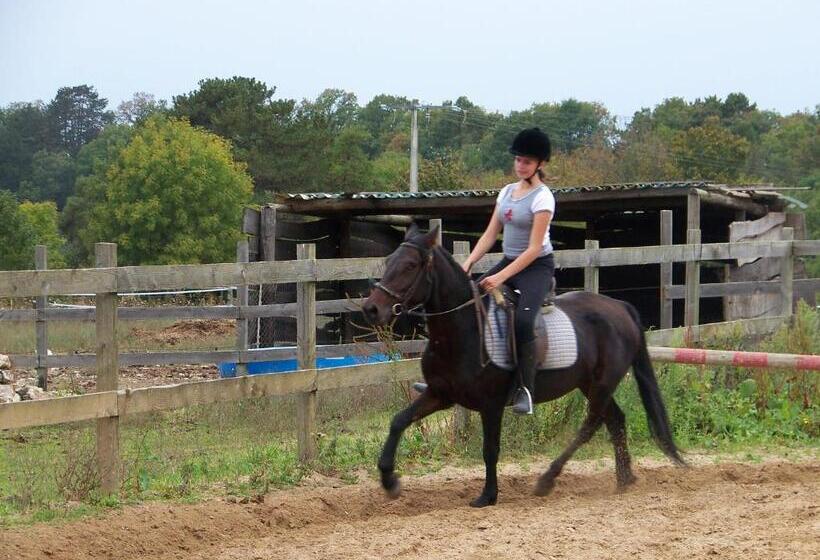 酒店 Hôtel Restaurant Les Templiers
