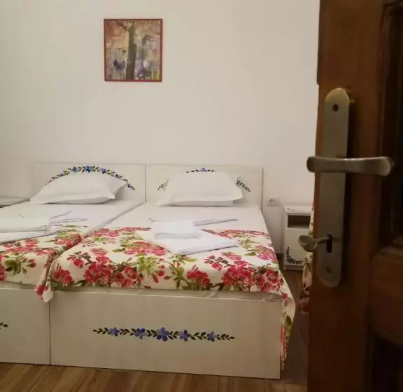 Pensiunea Geostar 2