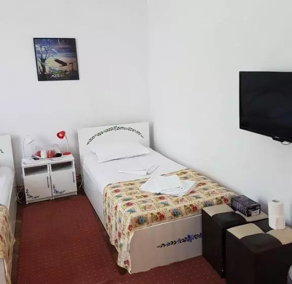 Pensiunea Geostar 2
