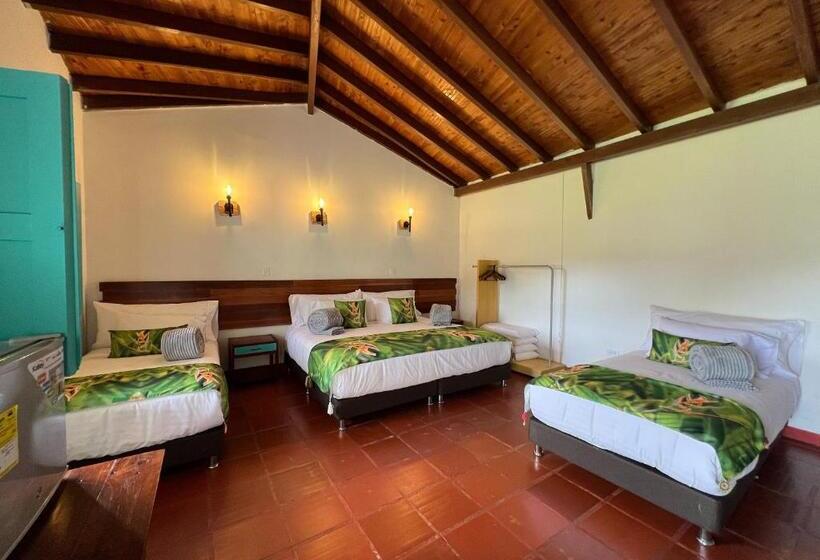 Hotel Momotus Cocora